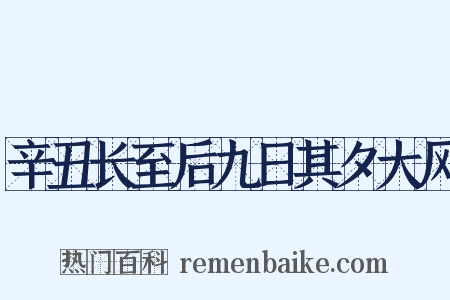 辛丑长至后九日其夕大风是什么意思的图片